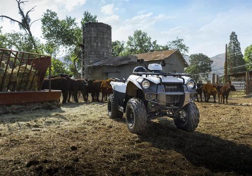 Quad Bikes